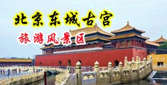 日本骚穴内射中国北京-东城古宫旅游风景区